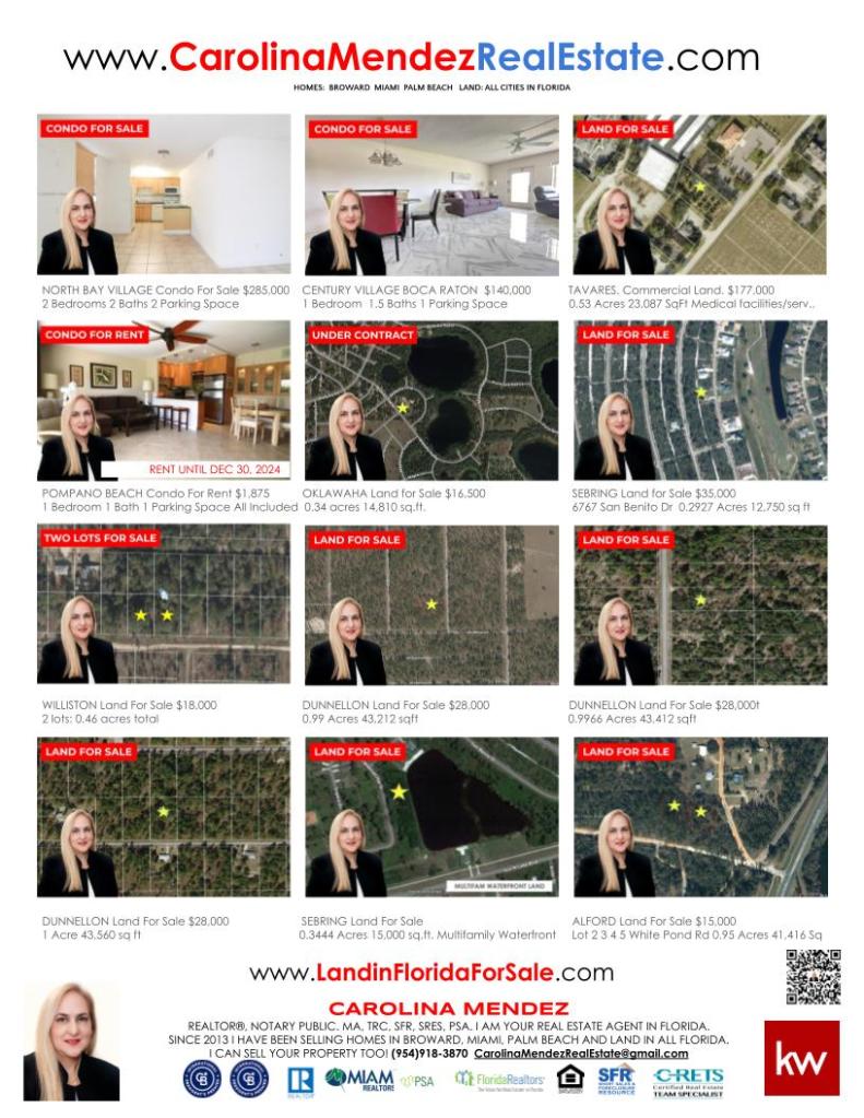 carolina mendez real estate florida